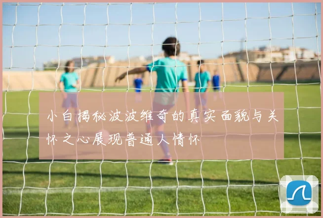 小白揭秘波波维奇的真实面貌与关怀之心展现普通人情怀